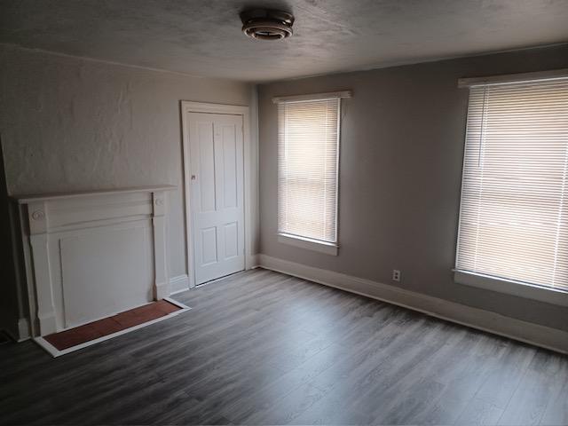 Large Living Room with Decorative Fireplace
